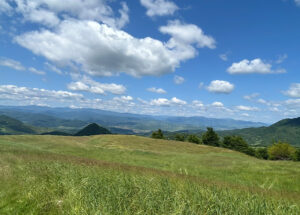 Maratonul Sarii 2025